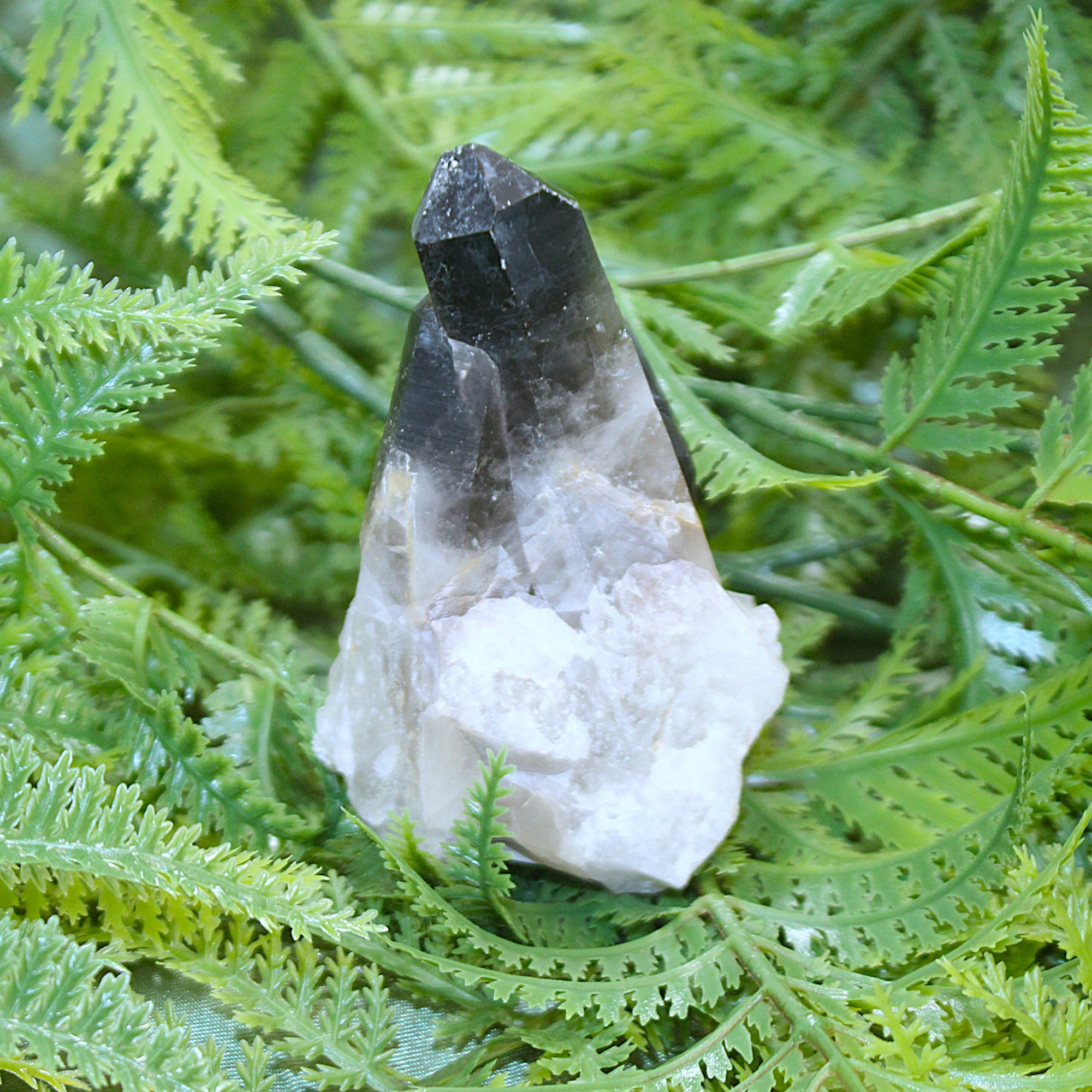 Smoky Quartz Cluster