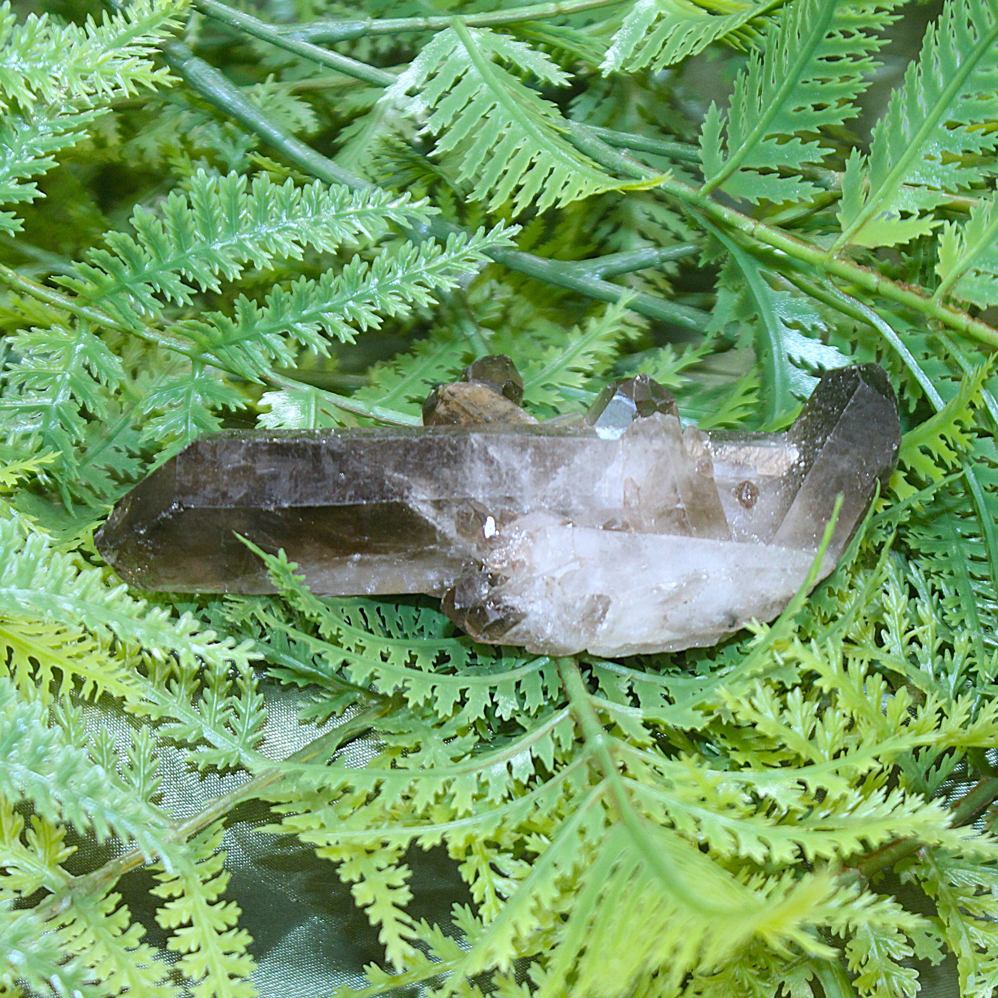 Smoky Quartz Cluster