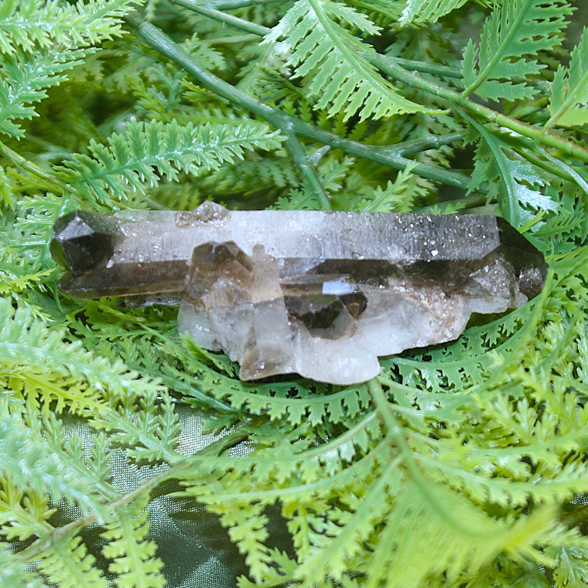 Smoky Quartz Cluster