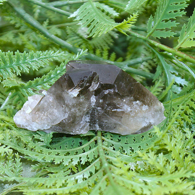 Smoky Quartz Cluster