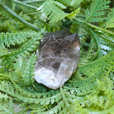 Smoky Quartz Cluster