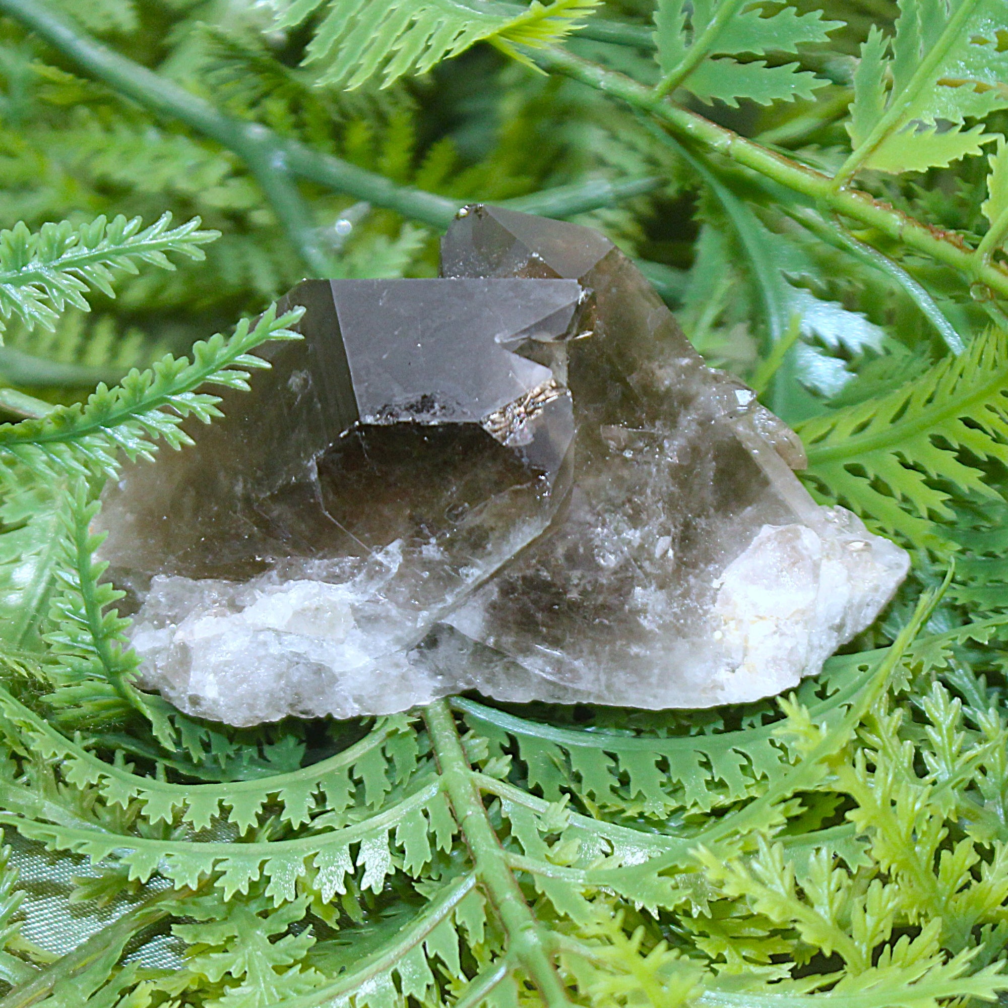 Smoky Quartz Cluster