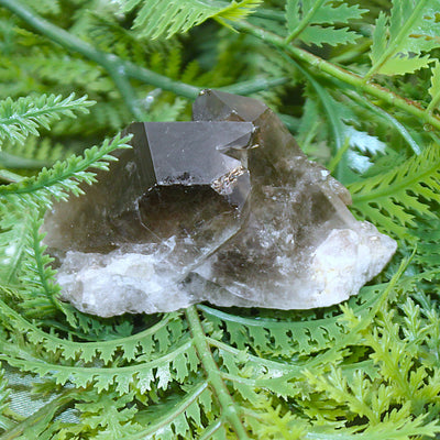 Smoky Quartz Cluster