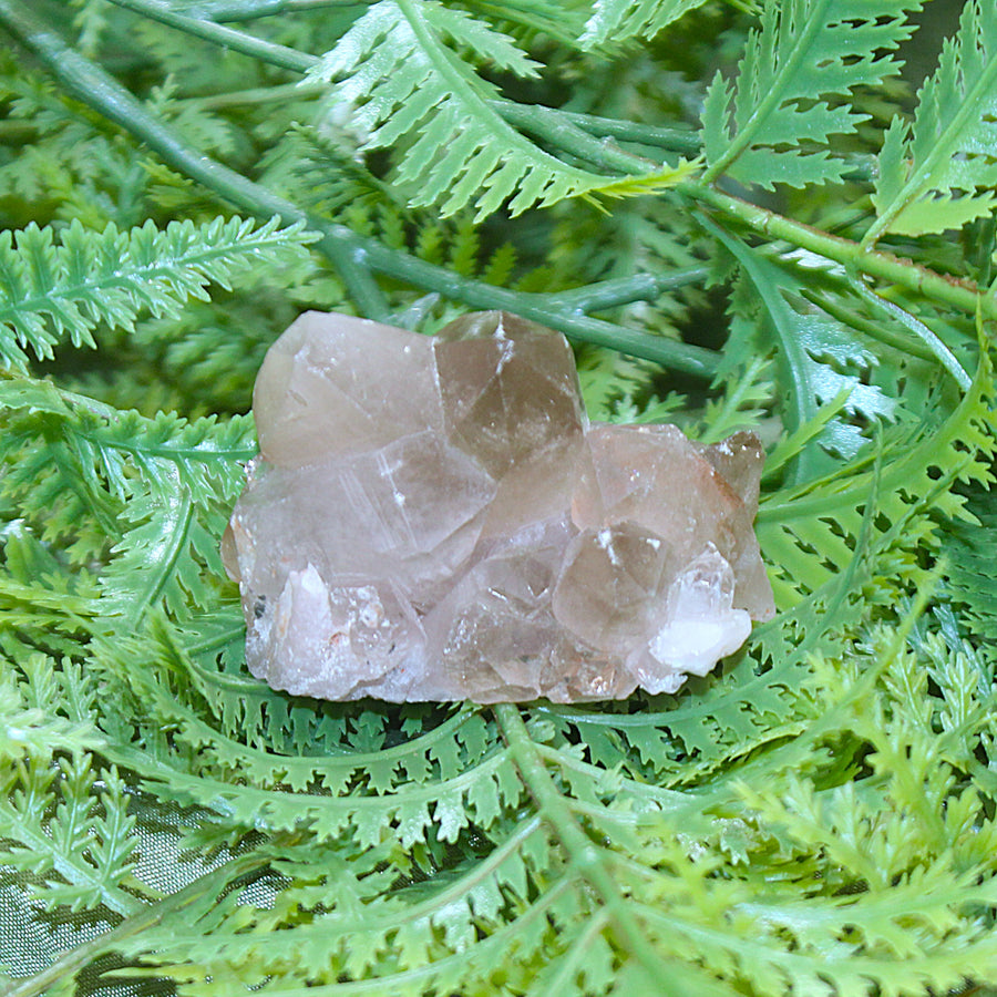 Smoky Quartz Cluster