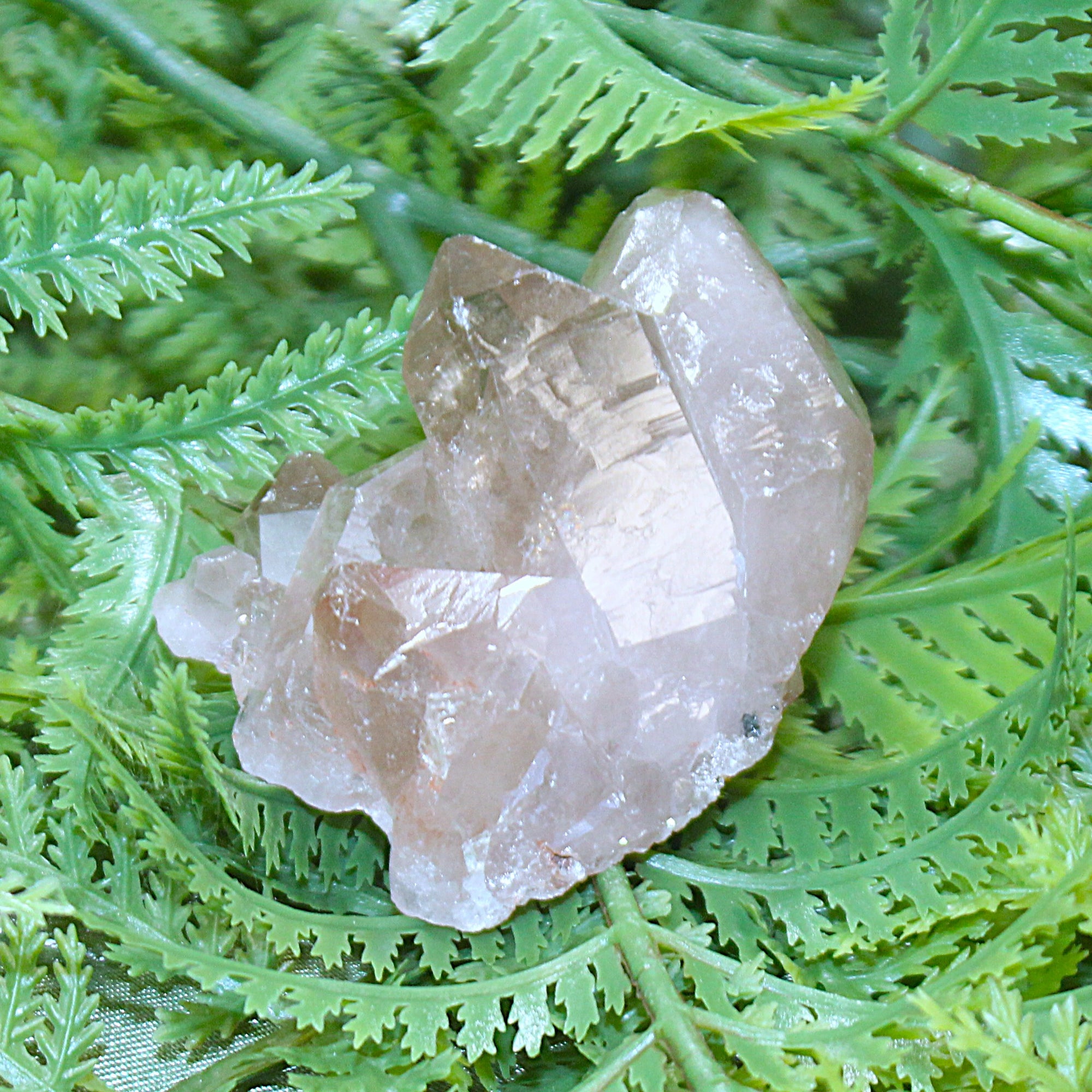Smoky Quartz Cluster
