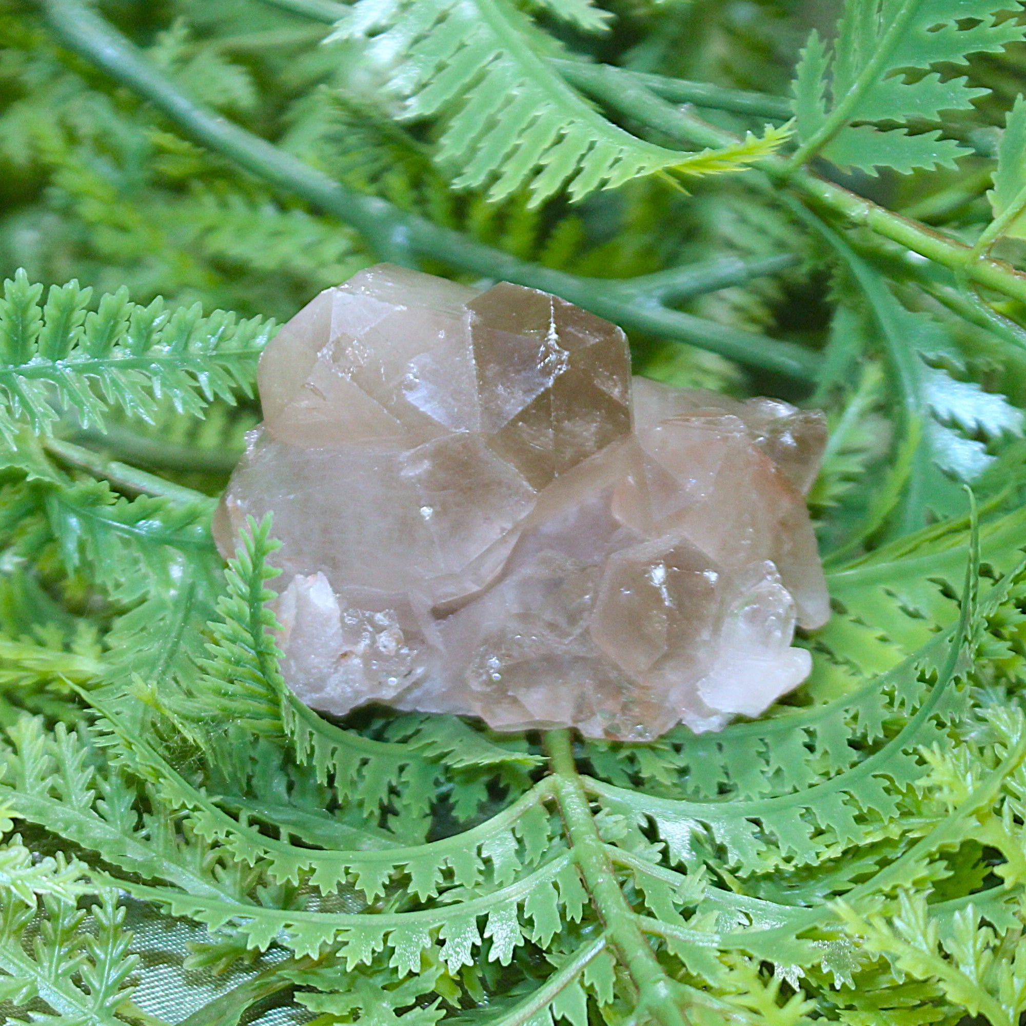 Smoky Quartz Cluster