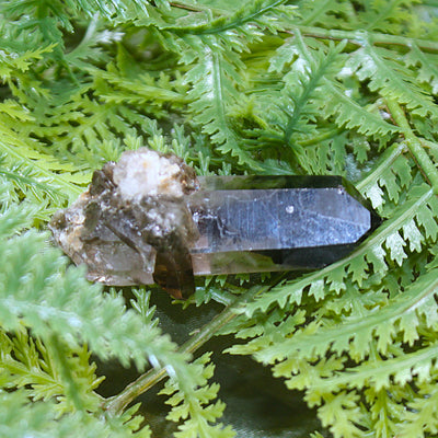 Smoky Quartz Cluster