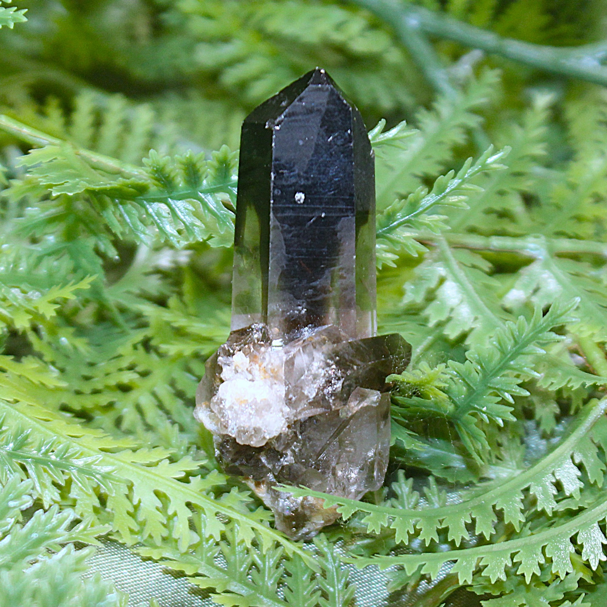 Smoky Quartz Cluster