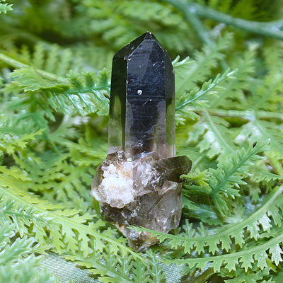 Smoky Quartz Cluster