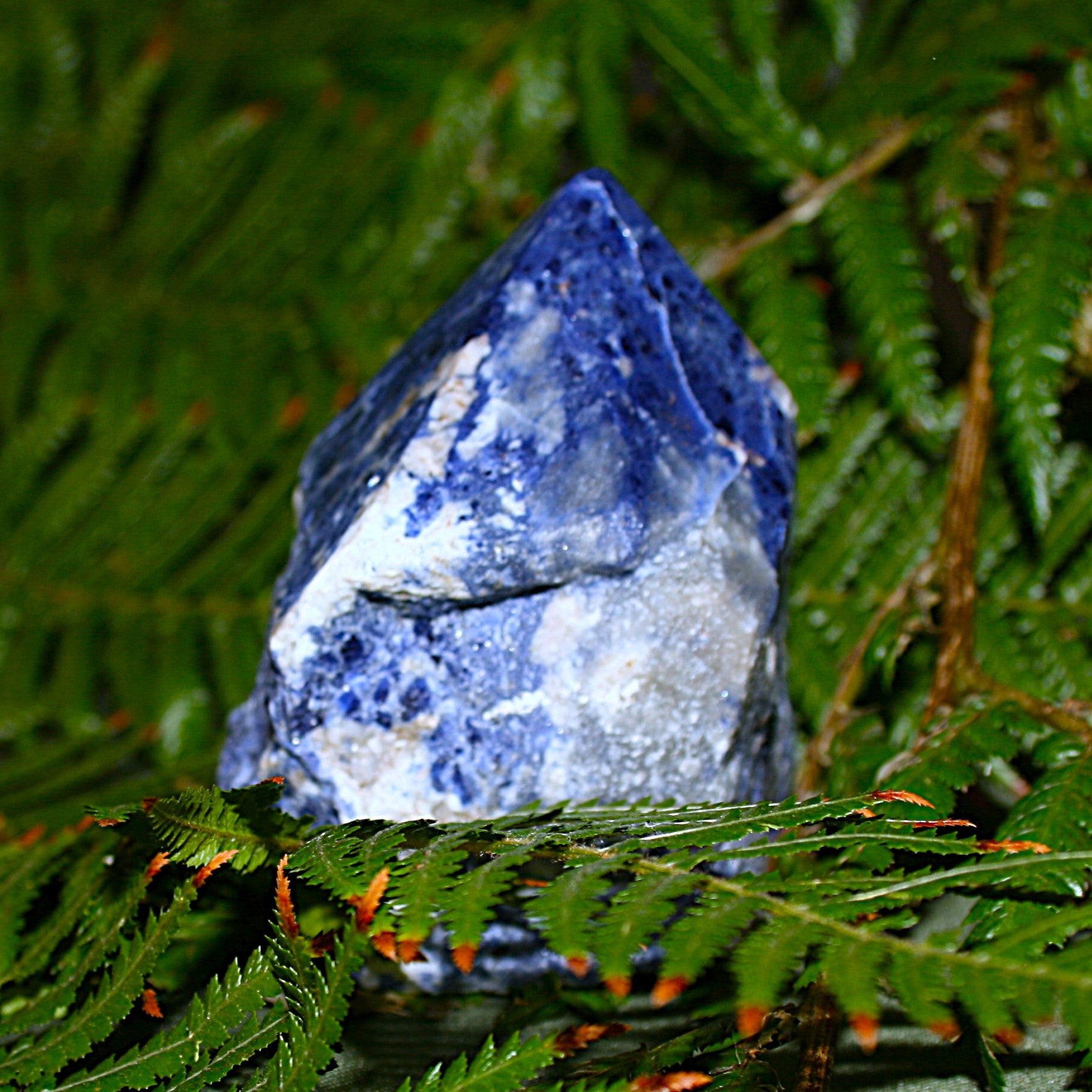 Sodalite Point