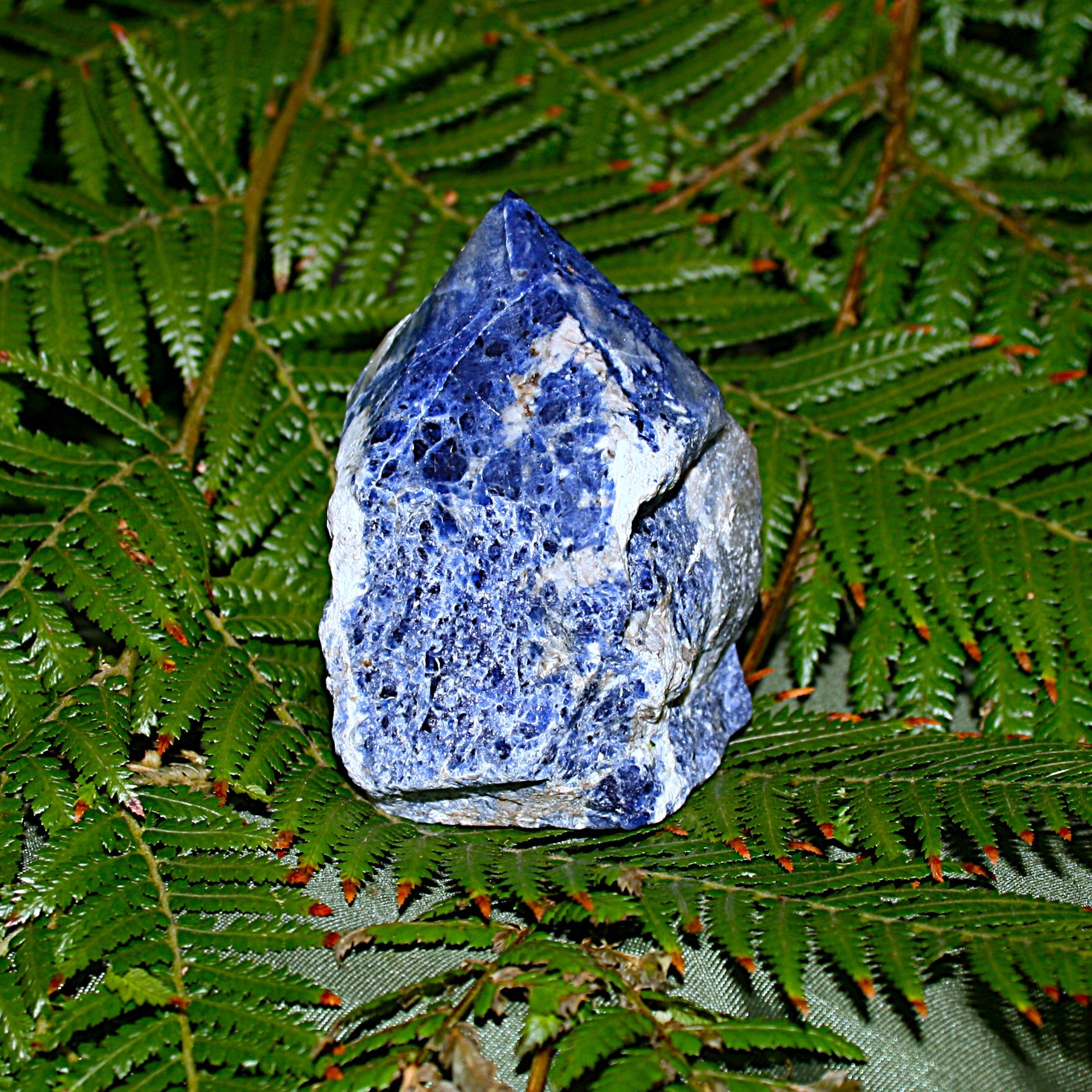 Sodalite Point