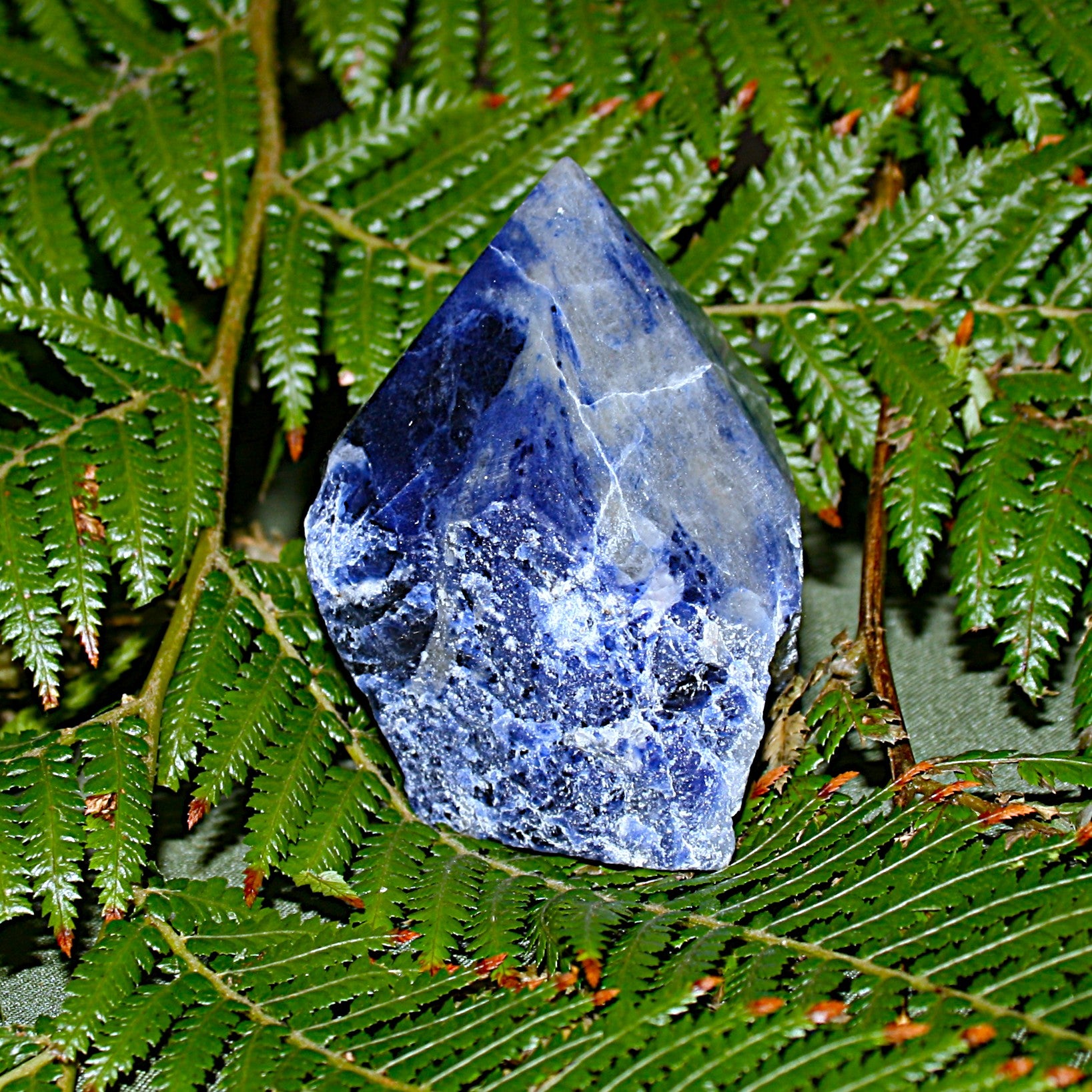 Sodalite Point