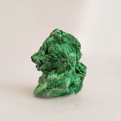 Mini Fiborous Malachite Specimen