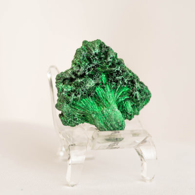 Mini Fiborous Malachite Specimen