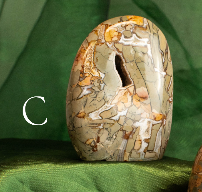 Ibis Jasper Freeform