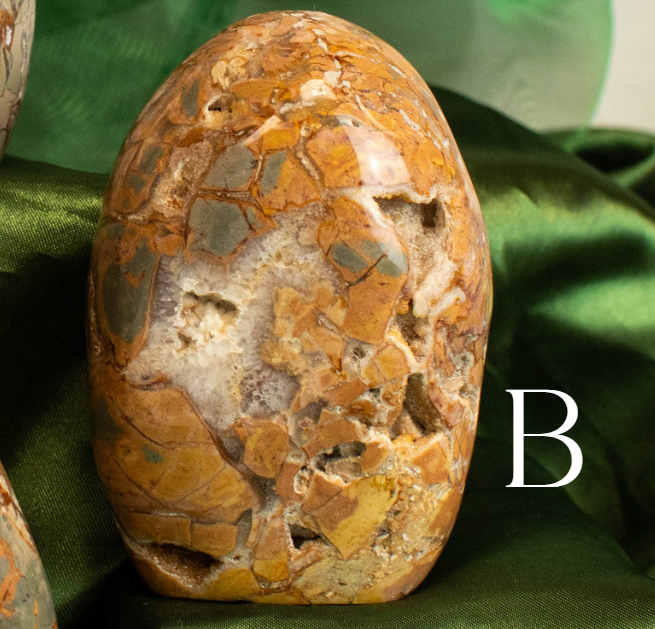 Ibis Jasper Freeform