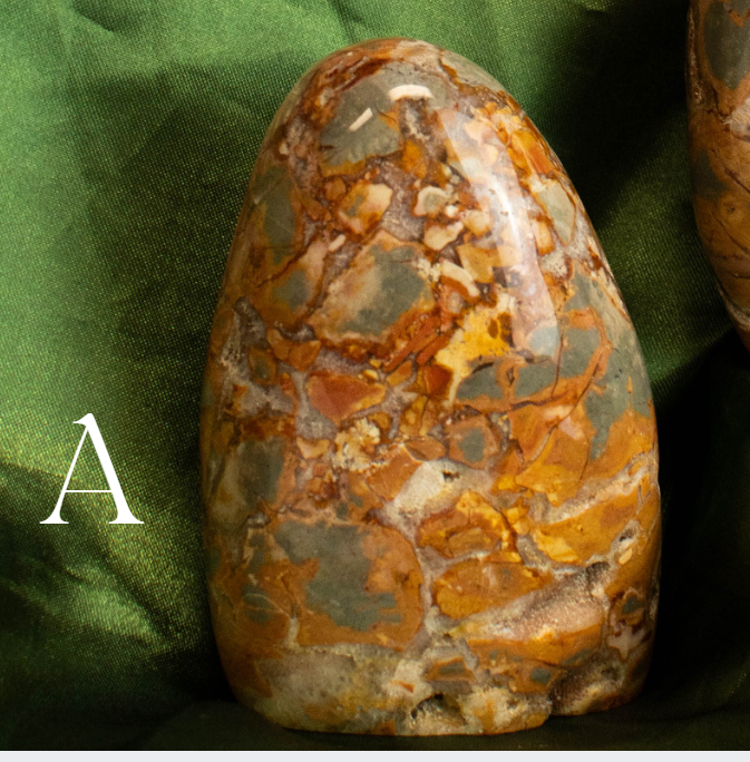 Ibis Jasper Freeform