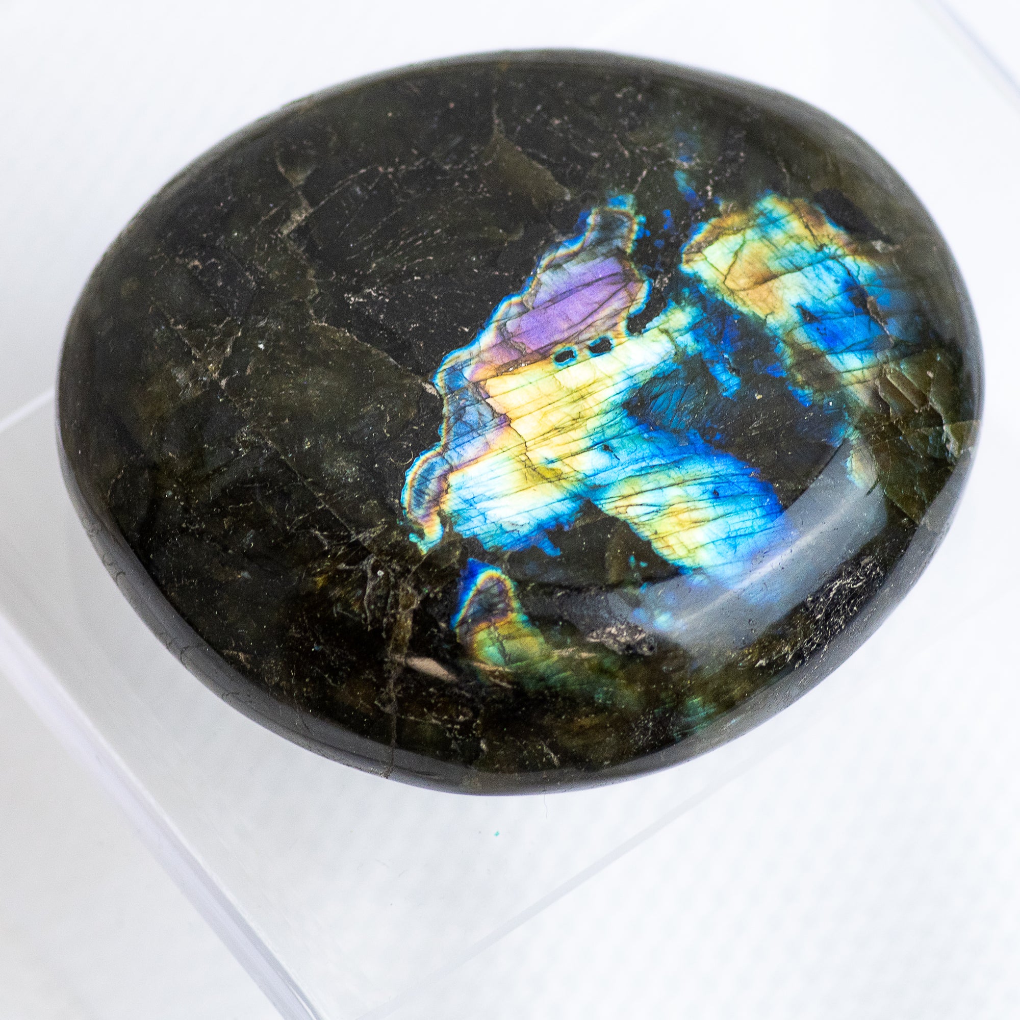 Spectrolite XL Palm Stone