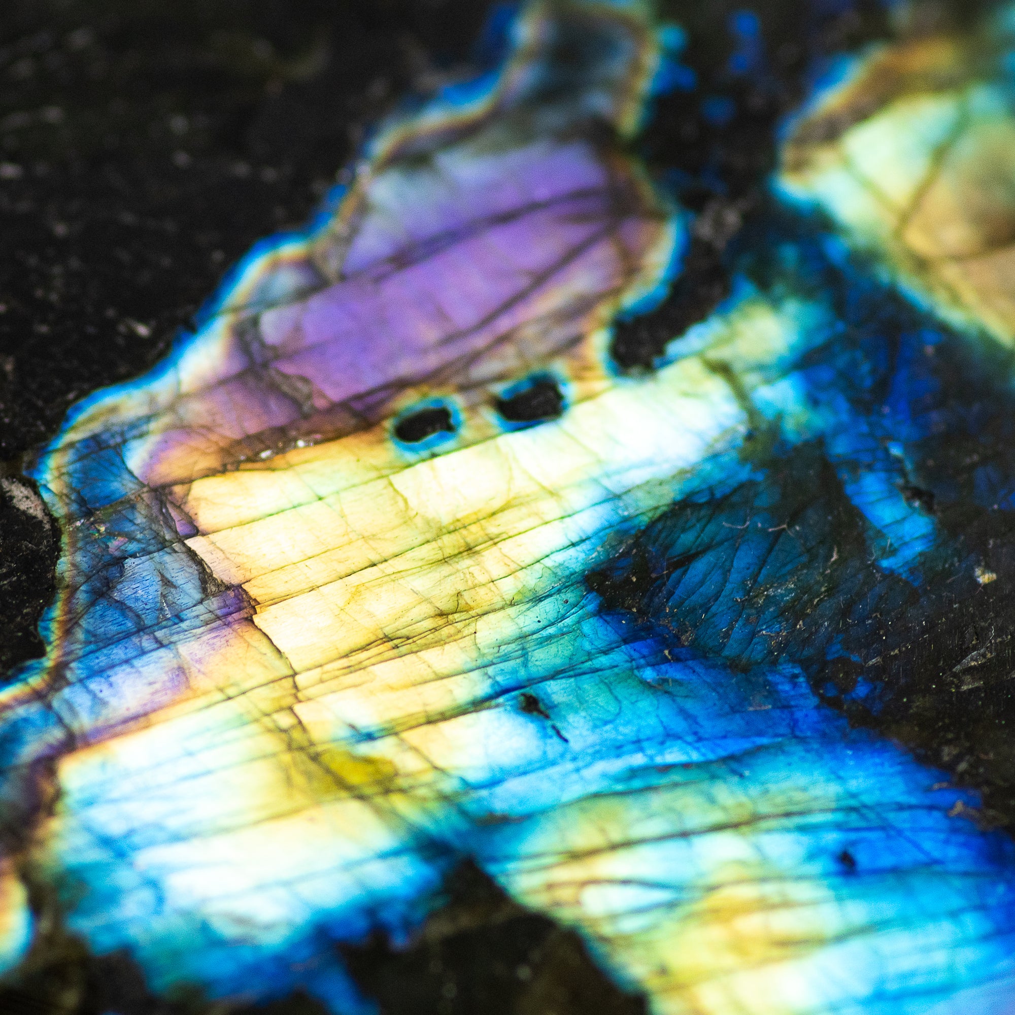 Spectrolite XL Palm Stone