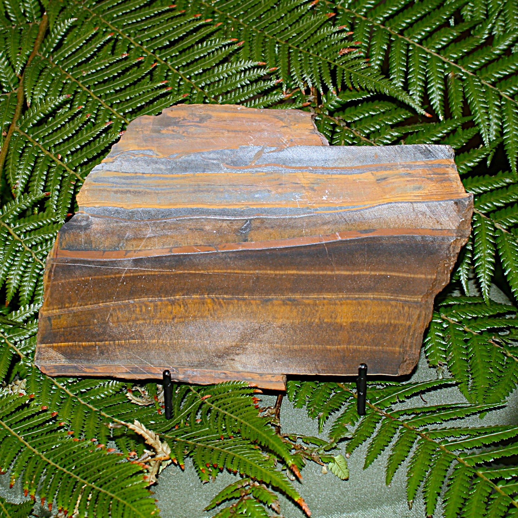 Tigers Eye Slab