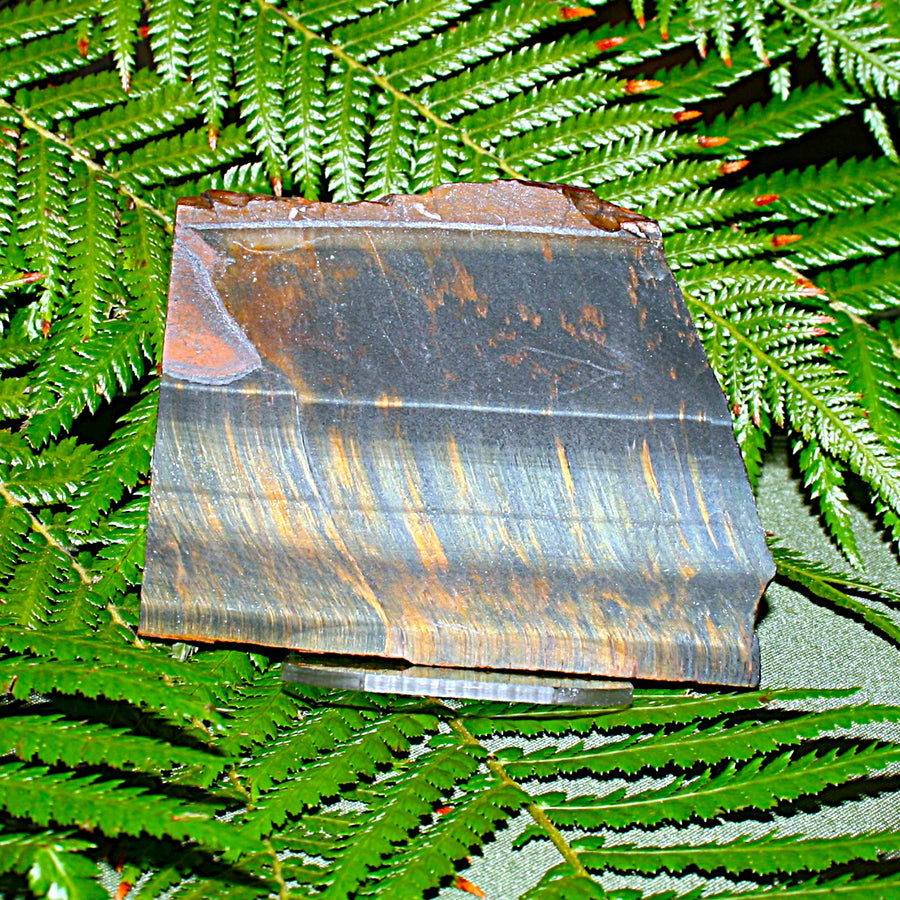 Tigers Eye Slab
