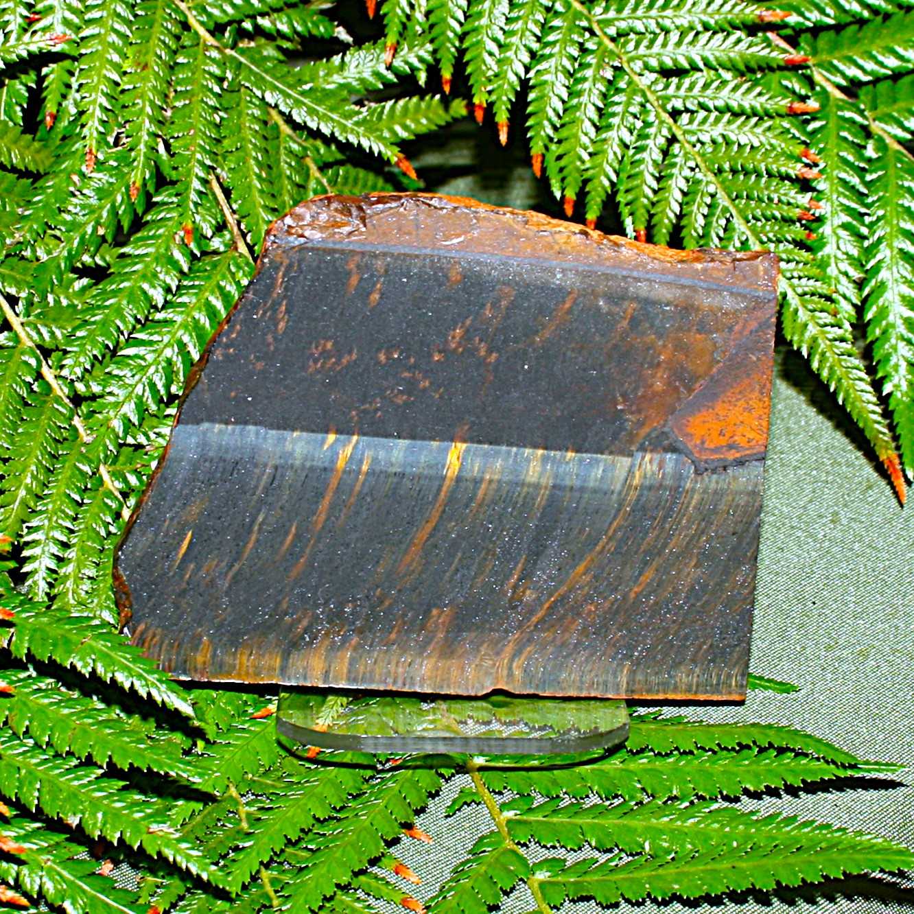 Tigers Eye Slab
