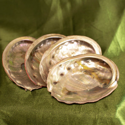 Mini Red Abalone Shell (Intuitively Chosen)