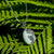 Amazonite Butterfly Pendant