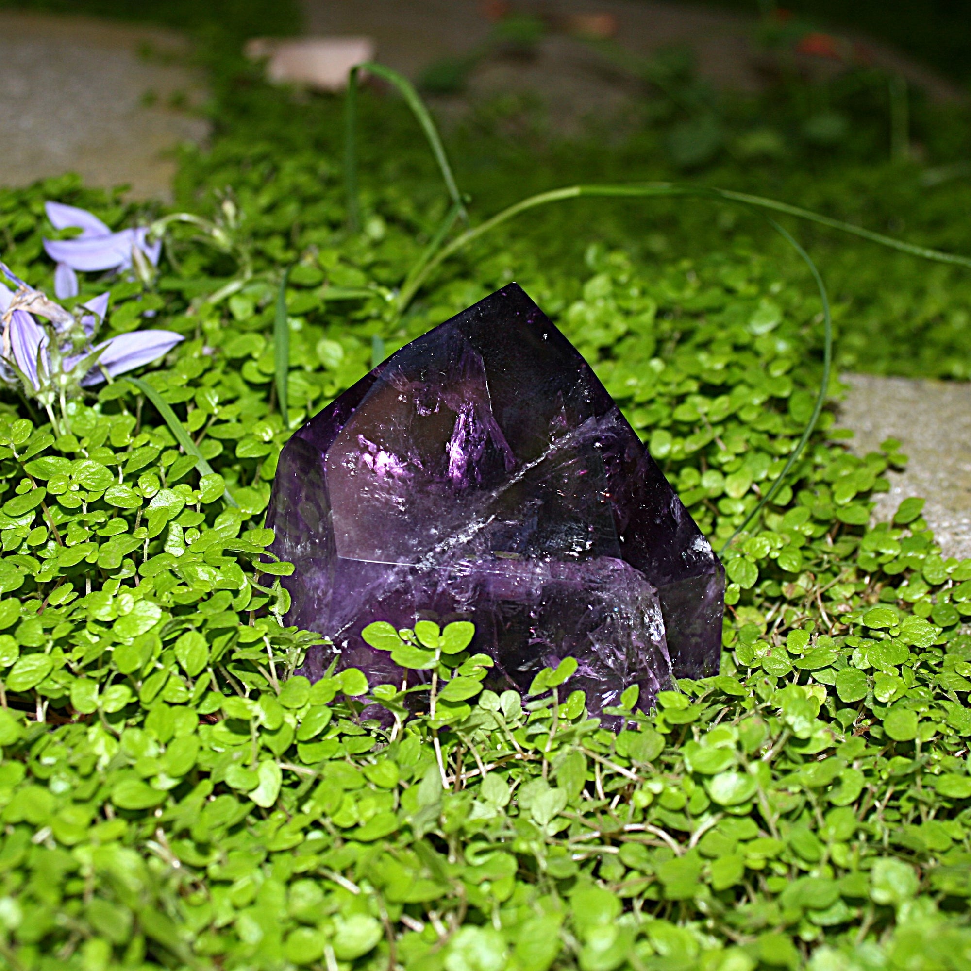 AAA Brazilian Amethyst Point