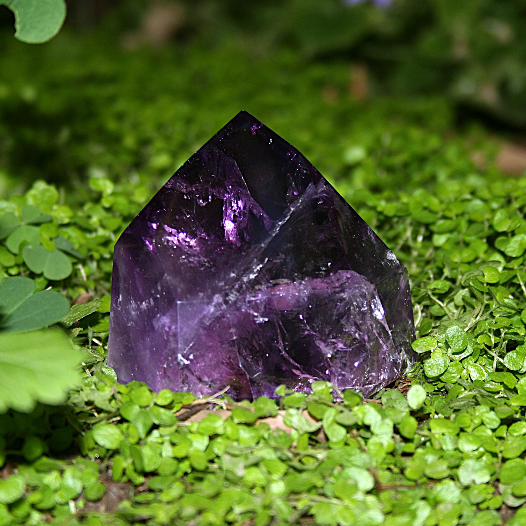 AAA Brazilian Amethyst Point