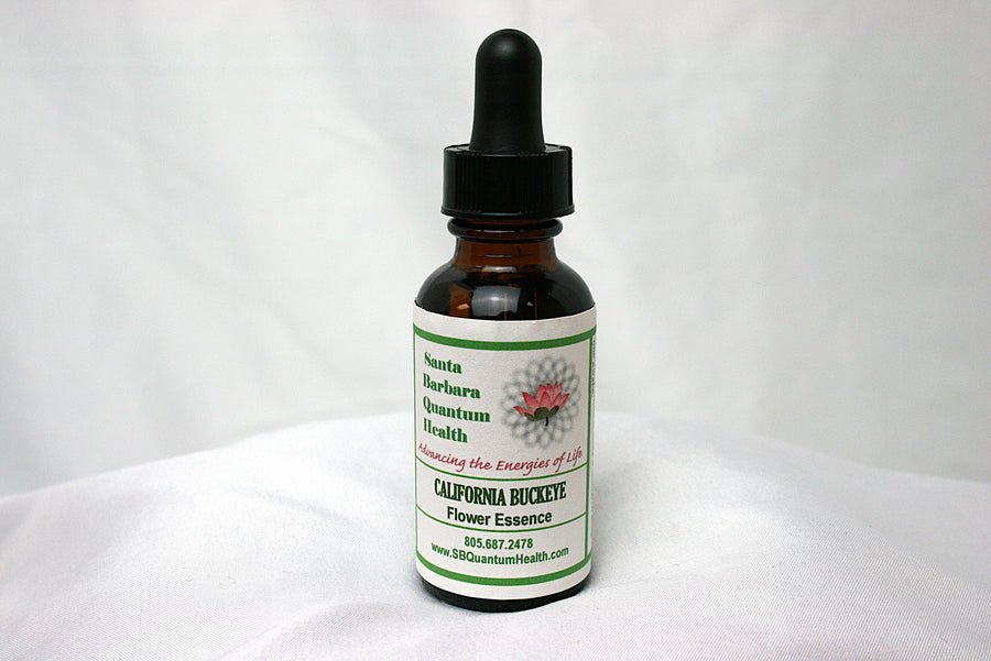 California Buckeye Flower Essence