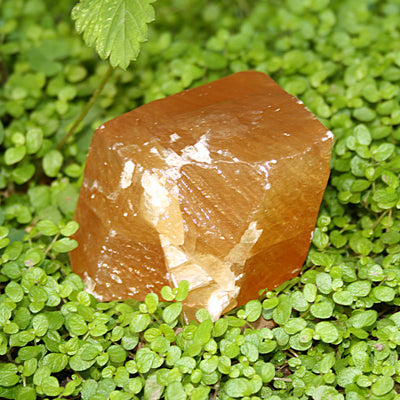 Honeycomb Calcite