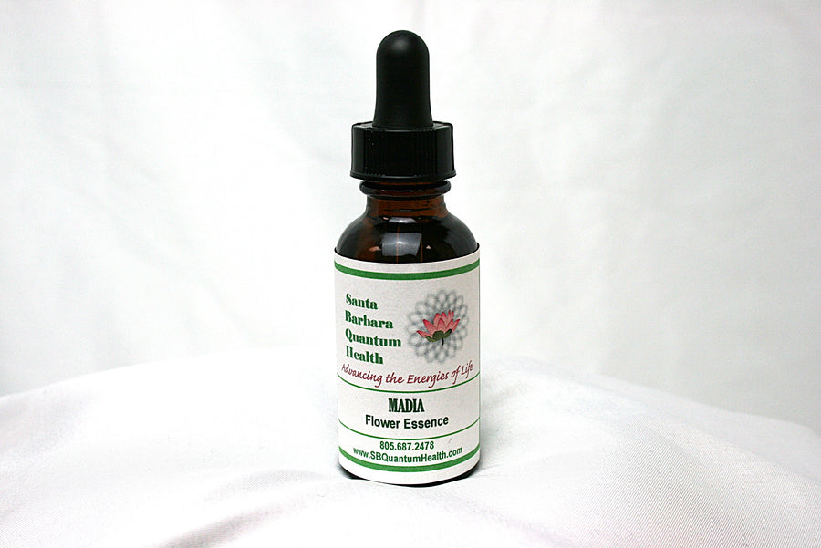 Madia Flower Essence