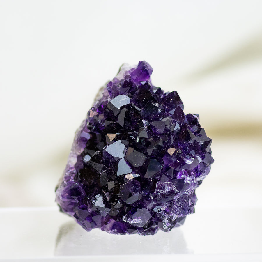 Uruguayan Amethyst Cluster