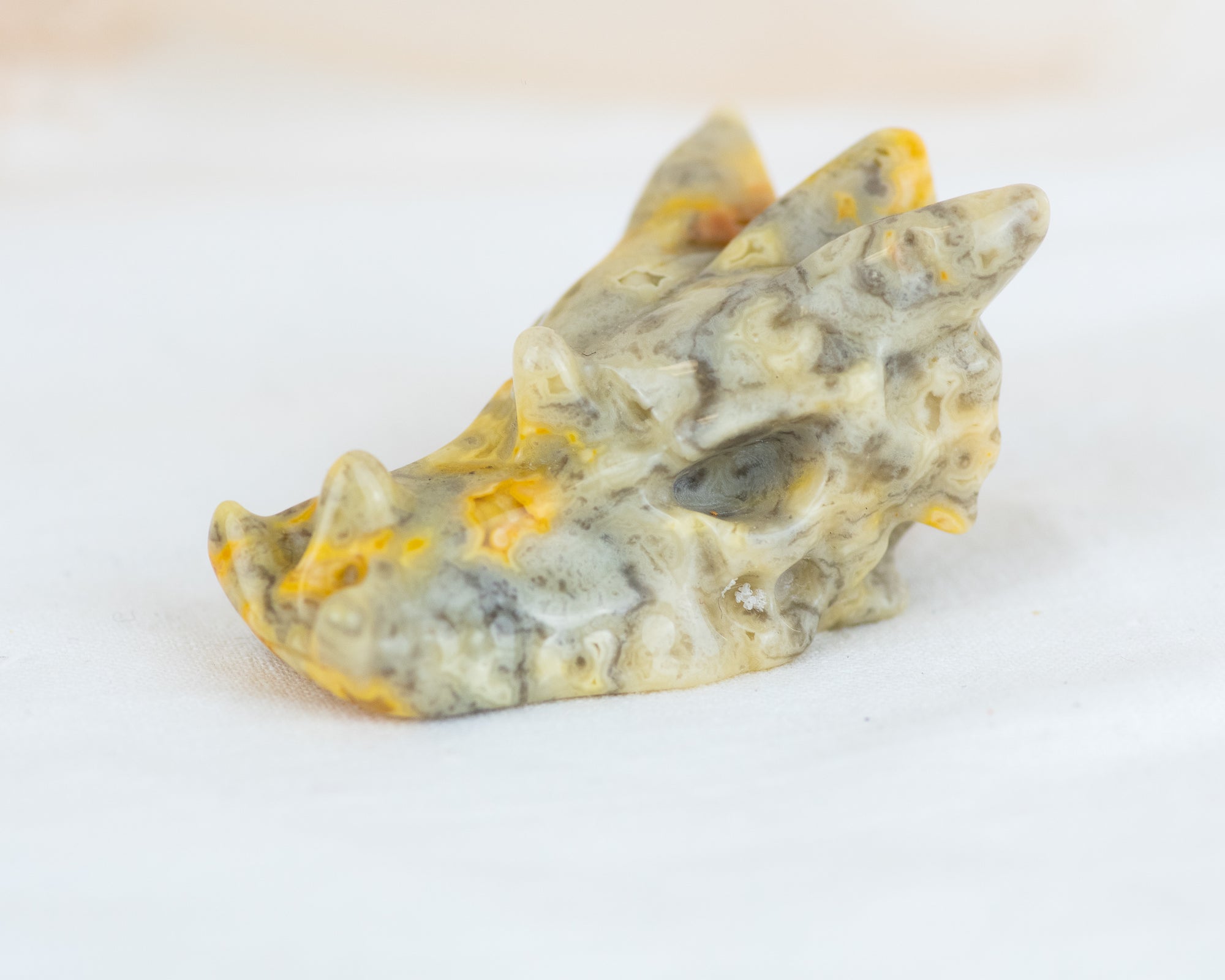 Crazy Lace Jasper Dragon Skull Carving