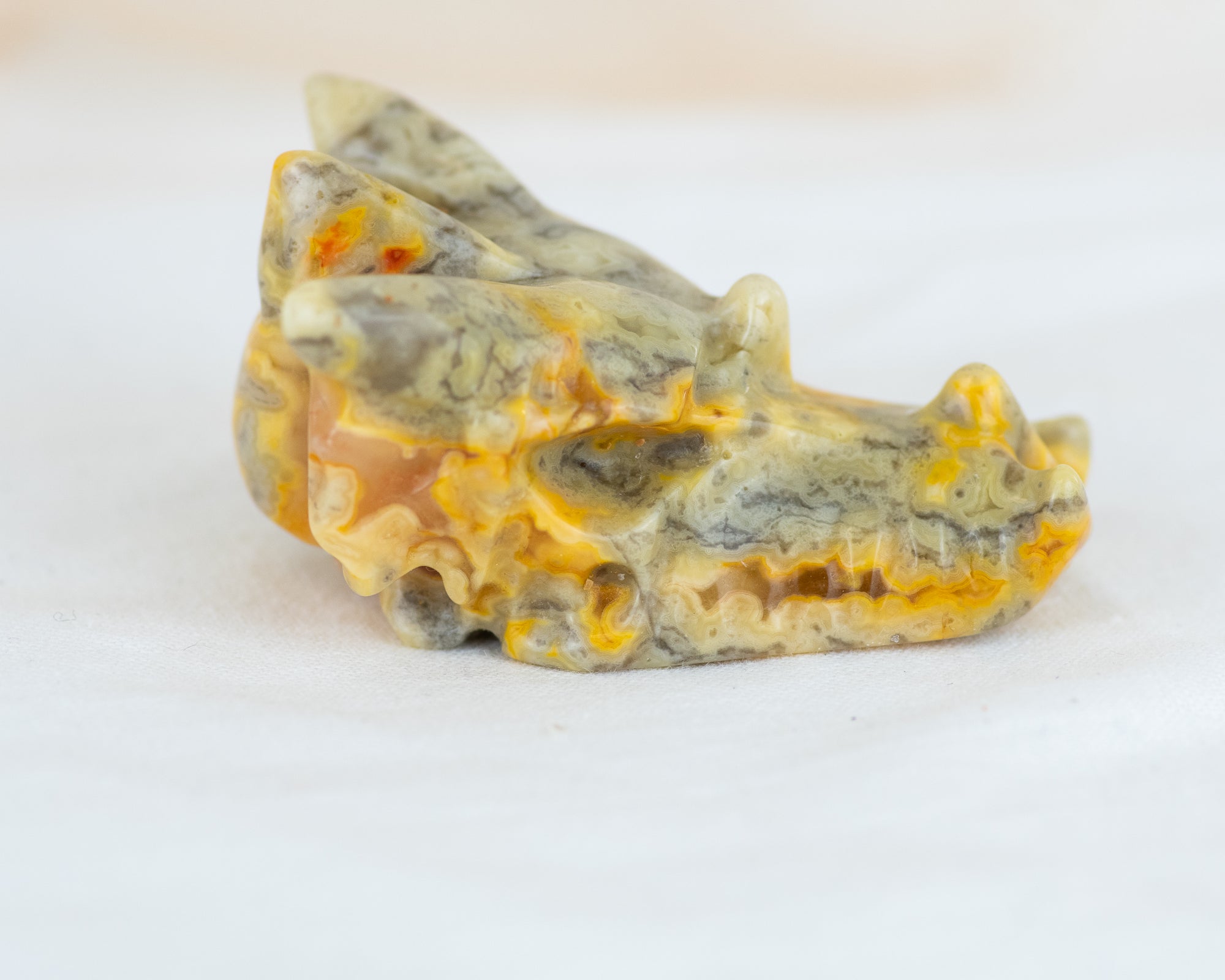 Crazy Lace Jasper Dragon Skull Carving