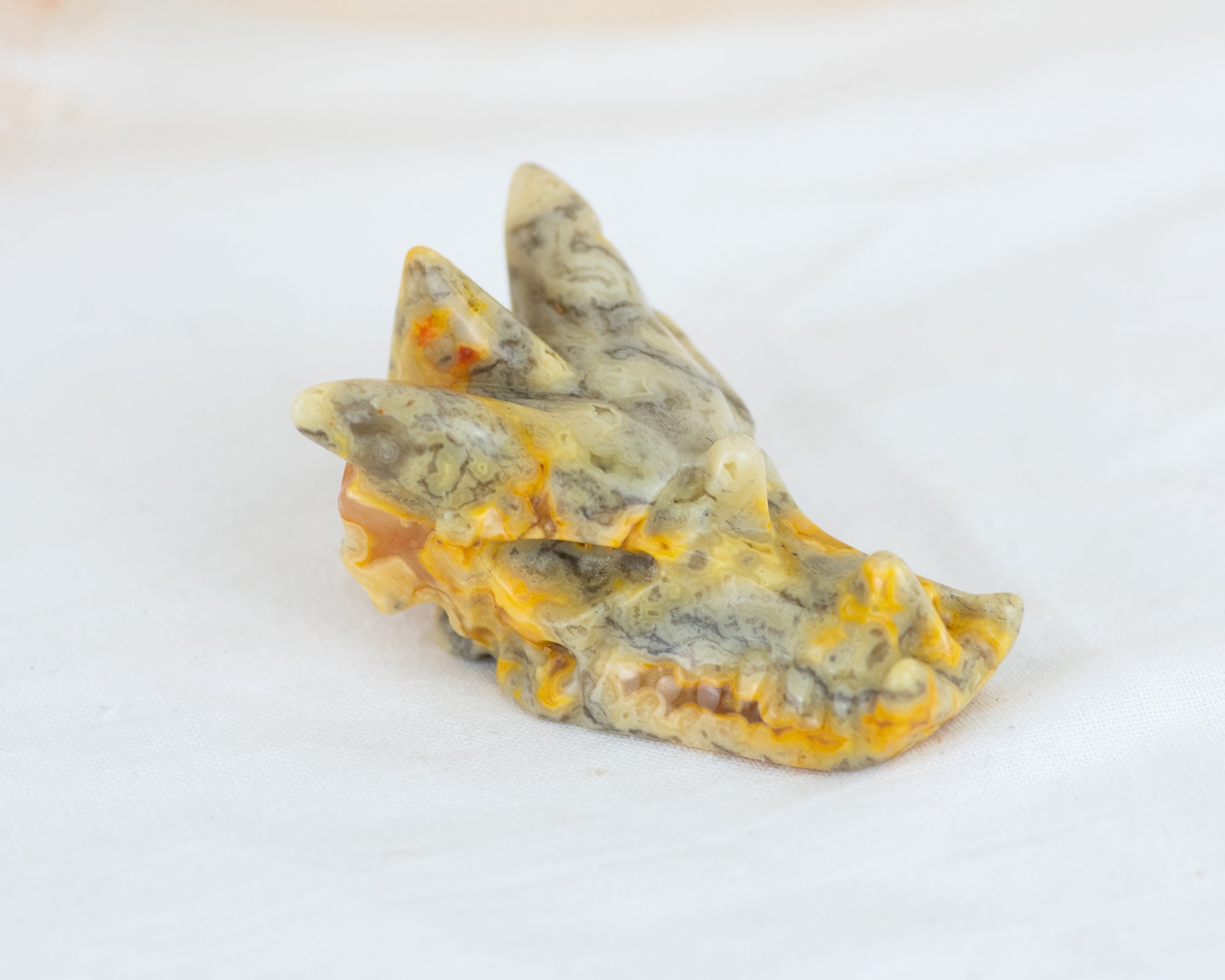 Crazy Lace Jasper Dragon Skull Carving