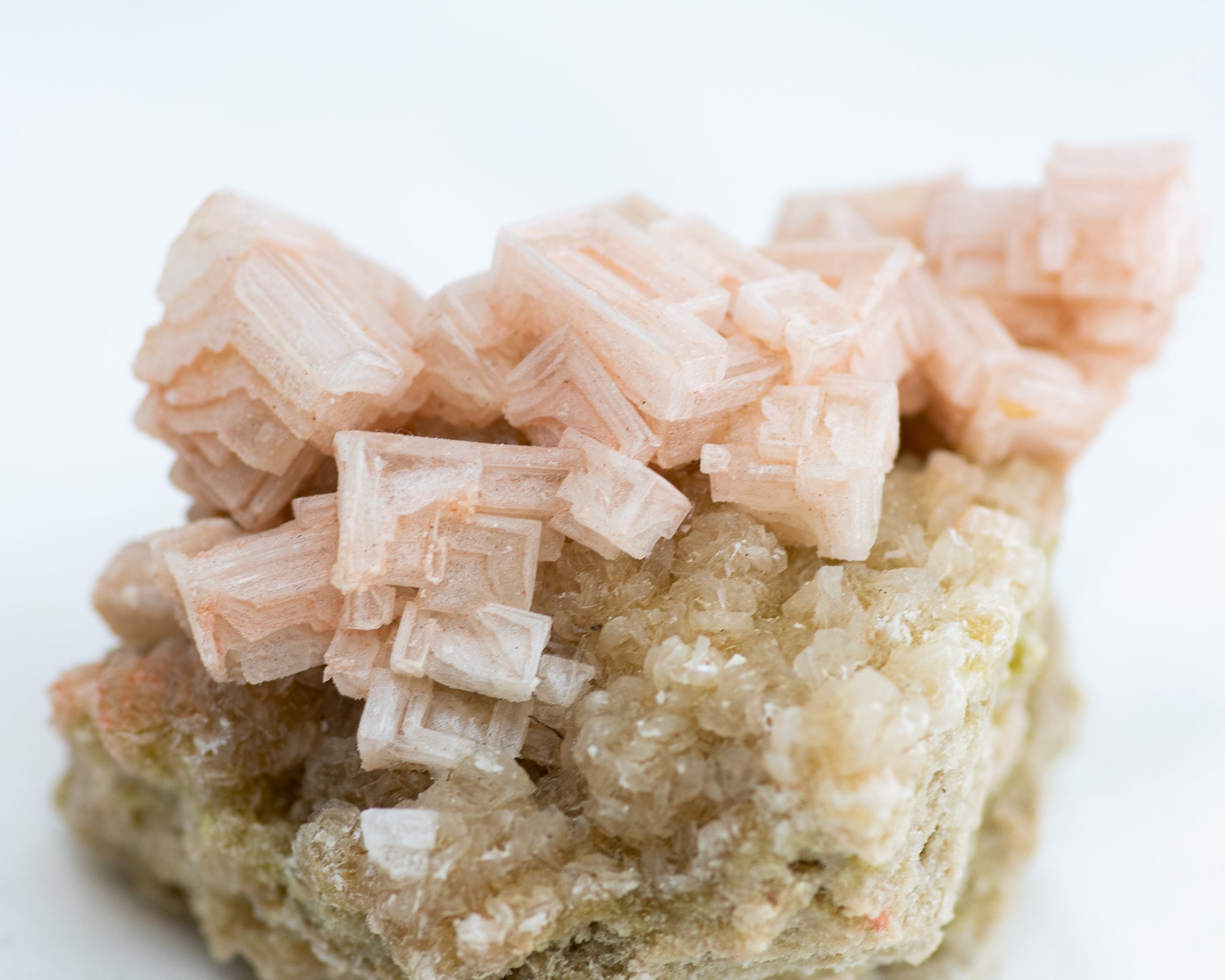 Raw Pink Halite on Trona